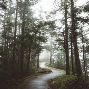 Values Exploration Worksheet