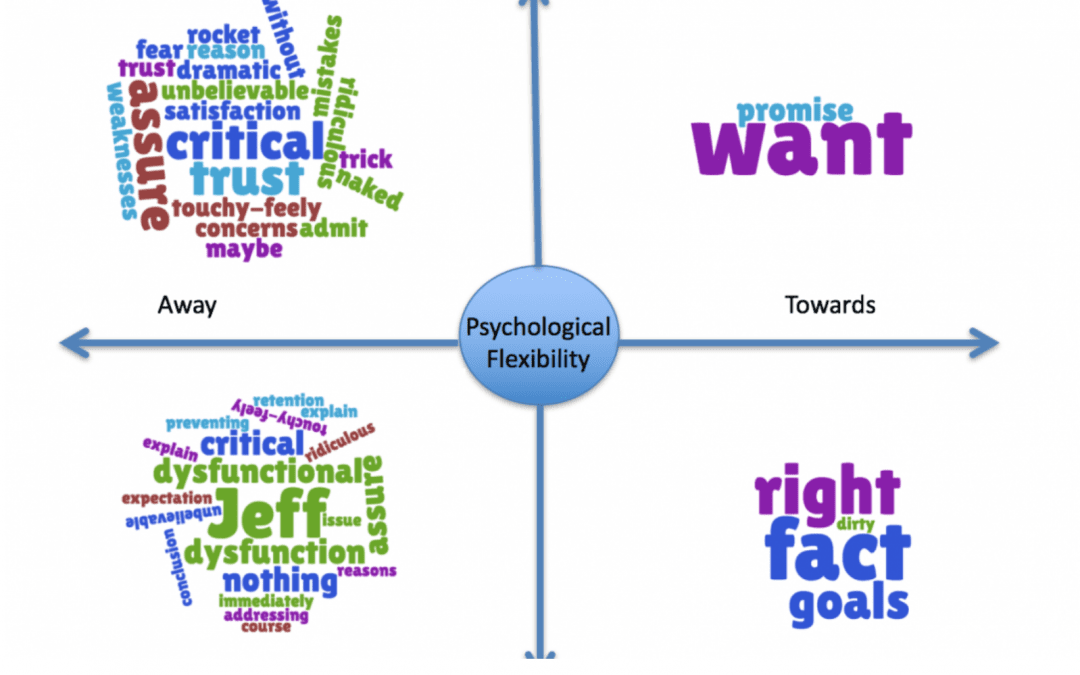 The Matrix Viz: A functional assessment of verbal behaving